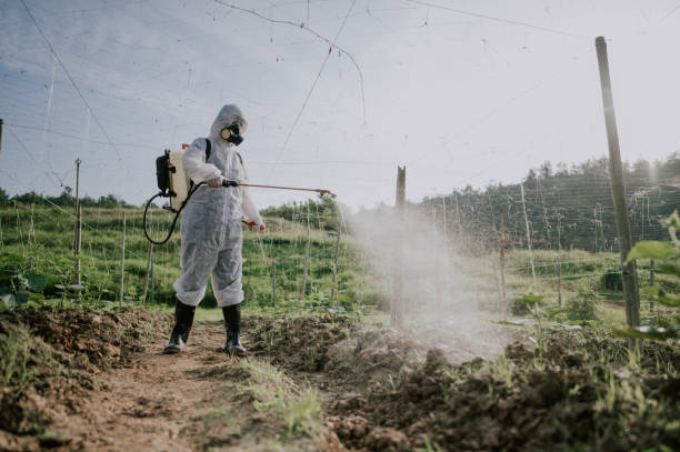 Best Commercial Pest Control Services  in Heyville, AL