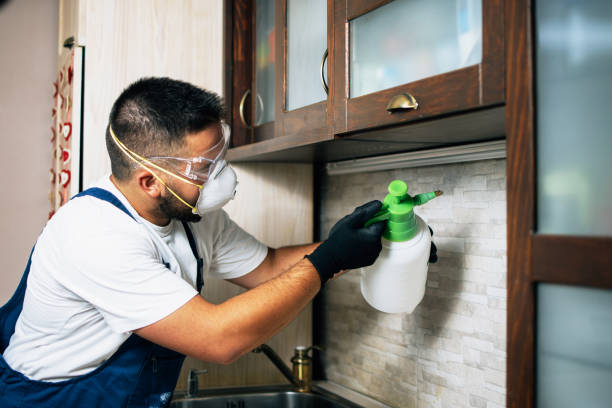 Best Exterminator Services  in Heyville, AL