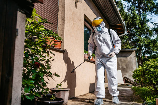 Best Mosquito Control Services  in Heyville, AL