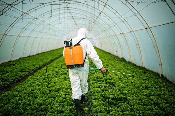 Best Commercial Pest Control Services  in Heyville, AL