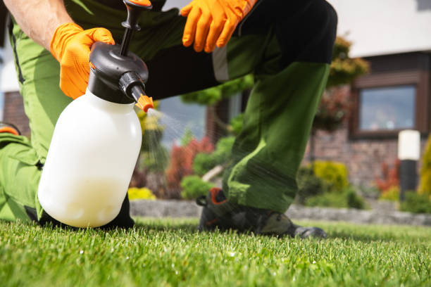 Best Affordable Pest Control Services  in Heyville, AL