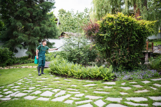 Best Affordable Pest Control Services  in Heyville, AL