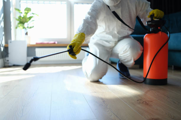 Trusted Haleyville, AL Pest Control Experts
