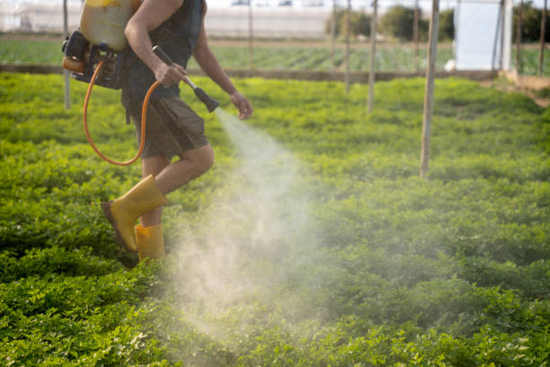 Best Affordable Pest Control Services  in Heyville, AL