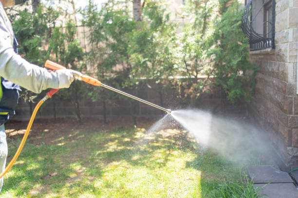 Best Best Pest Control Companies  in Heyville, AL