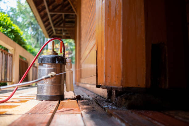 Best Insect Control  in Heyville, AL