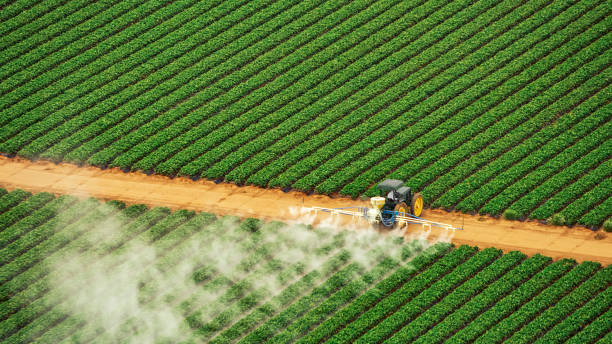 Best Termite Control Services  in Heyville, AL