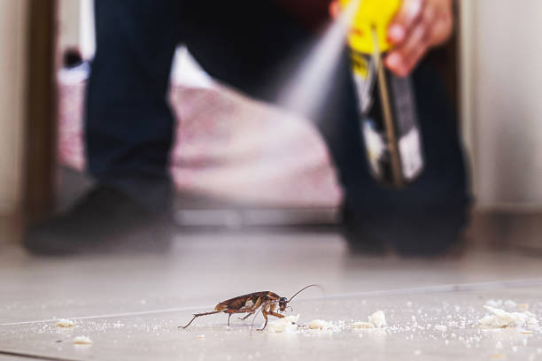 Best Wasp Removal Services  in Heyville, AL