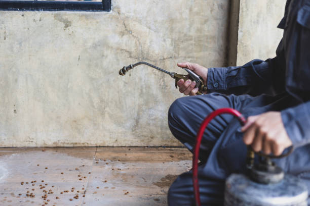 Best Affordable Exterminators  in Heyville, AL